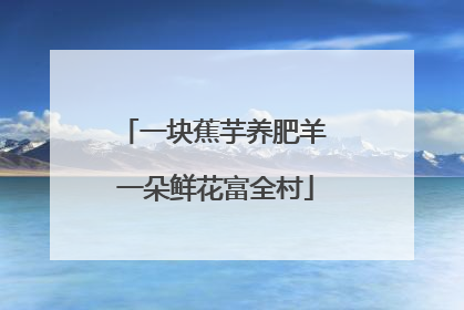 一块蕉芋养肥羊 一朵鲜花富全村