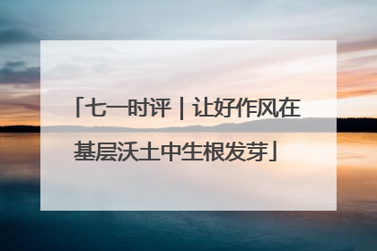 七一时评｜让好作风在基层沃土中生根发芽