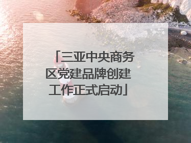 三亚中央商务区党建品牌创建工作正式启动