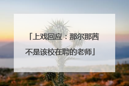 上戏回应：那尔那茜不是该校在聘的老师
