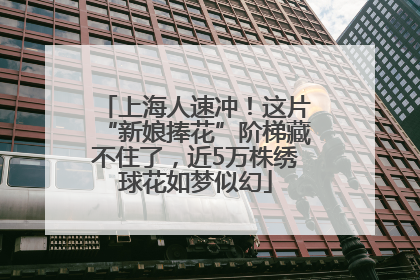 上海人速冲！这片“新娘捧花”阶梯藏不住了，近5万株绣球花如梦似幻