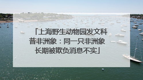上海野生动物园发文科普非洲象：同一只非洲象长期被欺负消息不实