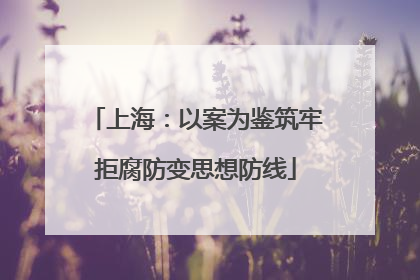 上海：以案为鉴筑牢拒腐防变思想防线