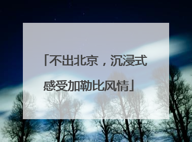 不出北京，沉浸式感受加勒比风情
