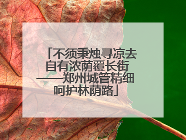 不须秉烛寻凉去 自有浓荫覆长街——郑州城管精细呵护林荫路