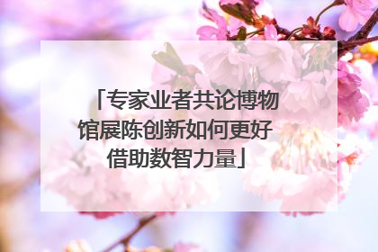 专家业者共论博物馆展陈创新如何更好借助数智力量