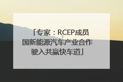 专家：RCEP成员国新能源汽车产业合作驶入共赢快车道