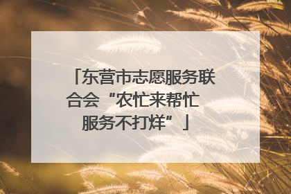 东营市志愿服务联合会“农忙来帮忙 服务不打烊”