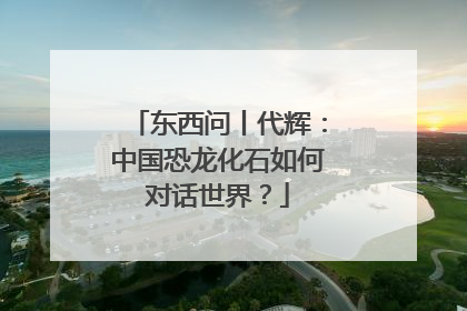 东西问丨代辉：中国恐龙化石如何对话世界？