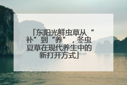 东阳光鲜虫草从“补”到“养”，冬虫夏草在现代养生中的新打开方式