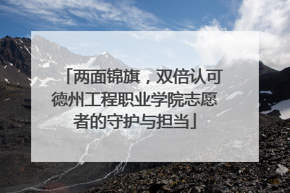 两面锦旗，双倍认可德州工程职业学院志愿者的守护与担当