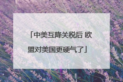 中美互降关税后 欧盟对美国更硬气了