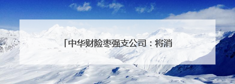 中华财险枣强支公司：将消费者权益保护工作落到实处