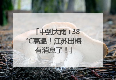 中到大雨+38℃高温！江苏出梅有消息了！