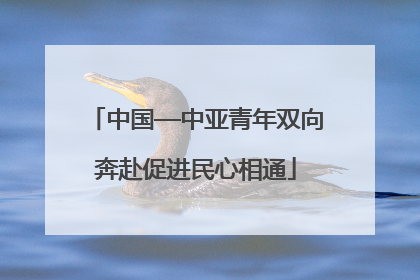 中国—中亚青年双向奔赴促进民心相通
