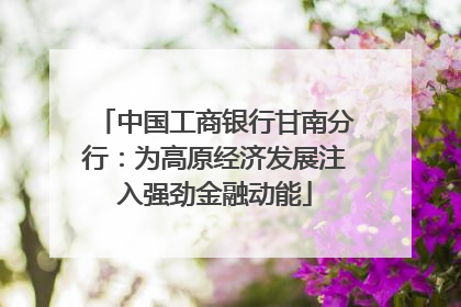 中国工商银行甘南分行：为高原经济发展注入强劲金融动能