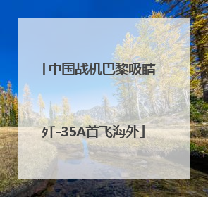 中国战机巴黎吸睛 歼-35A首飞海外