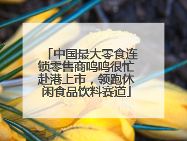 中国最大零食连锁零售商鸣鸣很忙赴港上市，领跑休闲食品饮料赛道
