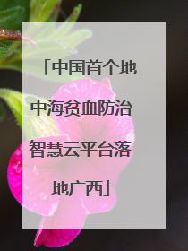 中国首个地中海贫血防治智慧云平台落地广西