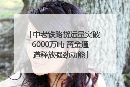 中老铁路货运量突破6000万吨 黄金通道释放强劲动能