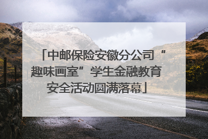 中邮保险安徽分公司“趣味画室”学生金融教育安全活动圆满落幕