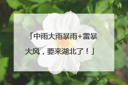 中雨大雨暴雨+雷暴大风，要来湖北了！