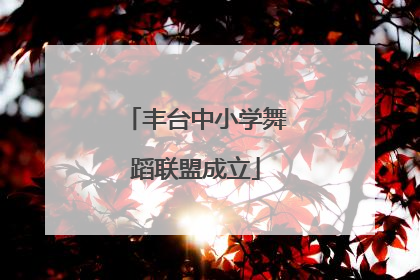 丰台中小学舞蹈联盟成立