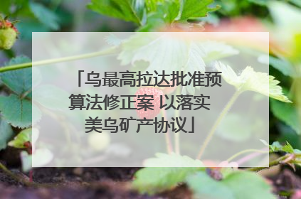 乌最高拉达批准预算法修正案 以落实美乌矿产协议