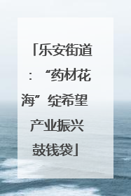 乐安街道：“药材花海”绽希望 产业振兴鼓钱袋