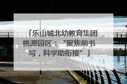 乐山城北幼教育集团桃源园区：“聚焦前书写，科学助衔接”