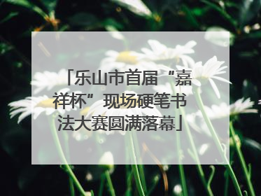 乐山市首届“嘉祥杯”现场硬笔书法大赛圆满落幕