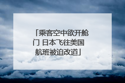 乘客空中欲开舱门 日本飞往美国航班被迫改道