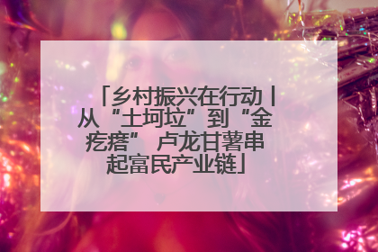 乡村振兴在行动丨从“土坷垃”到“金疙瘩” 卢龙甘薯串起富民产业链