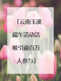 云南玉溪端午活动活吸引逾百万人参与