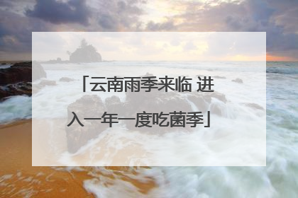 云南雨季来临 进入一年一度吃菌季