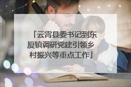 云霄县委书记到东厦镇调研党建引领乡村振兴等重点工作