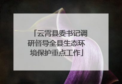 云霄县委书记调研督导全县生态环境保护重点工作