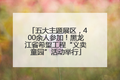 五大主题展区，400余人参加！黑龙江省希望工程“义卖童园”活动举行
