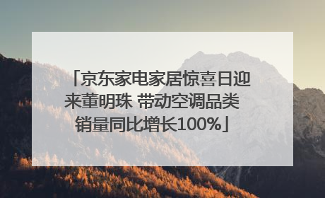 京东家电家居惊喜日迎来董明珠 带动空调品类销量同比增长100%