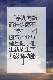 亭湖向新而行步履不“亭”：科创与产业互融互促，催生新质生产力澎湃动能