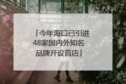 今年海口已引进48家国内外知名品牌开设首店