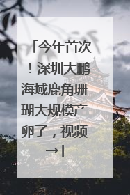 今年首次！深圳大鹏海域鹿角珊瑚大规模产卵了，视频→