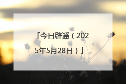 今日辟谣（2025年5月28日）