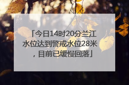 今日14时20分兰江水位达到警戒水位28米，目前已缓慢回落