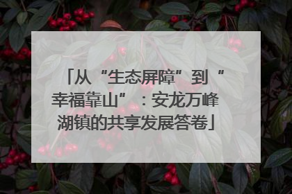 从“生态屏障”到“幸福靠山”：安龙万峰湖镇的共享发展答卷