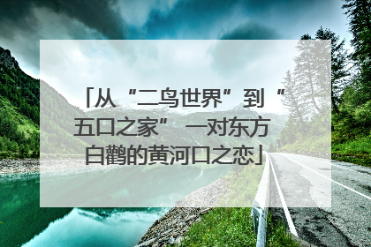 从“二鸟世界”到“五口之家” 一对东方白鹳的黄河口之恋