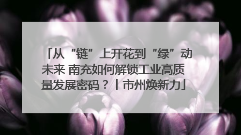从“链”上开花到“绿”动未来 南充如何解锁工业高质量发展密码？丨市州焕新力