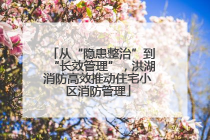 从“隐患整治”到“长效管理”，洪湖消防高效推动住宅小区消防管理