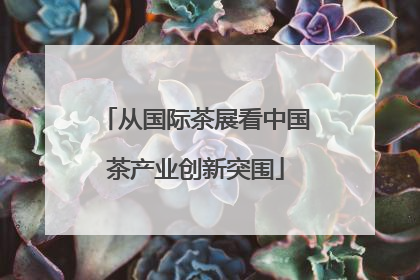 从国际茶展看中国茶产业创新突围