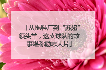 从拖鞋厂到“苏超”领头羊，这支球队的故事堪称励志大片